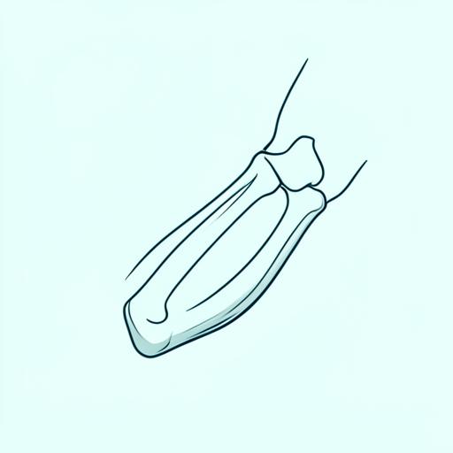 Anatomische Illustration des Ellbogengelenks