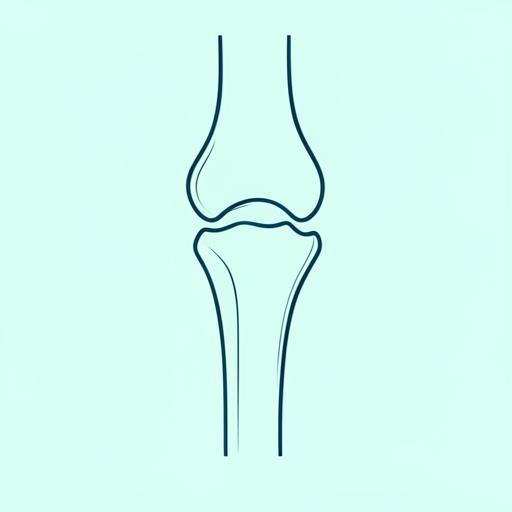 Anatomische Illustration des Kniegelenks